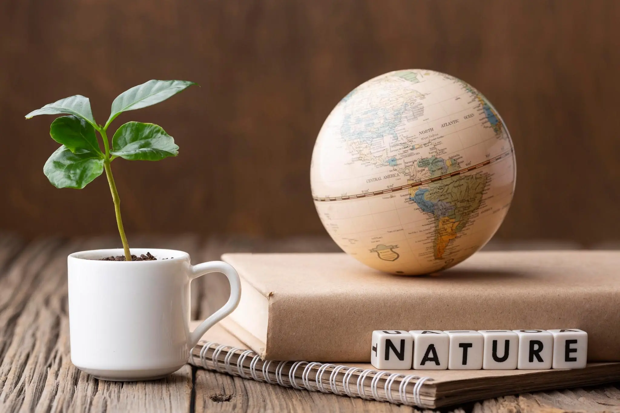 practice-Environmental Law